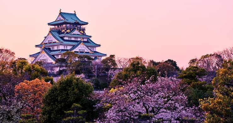 bangalore to japan tour packages